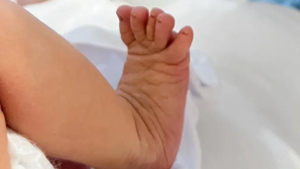 Фото: Минсоцразвития МО