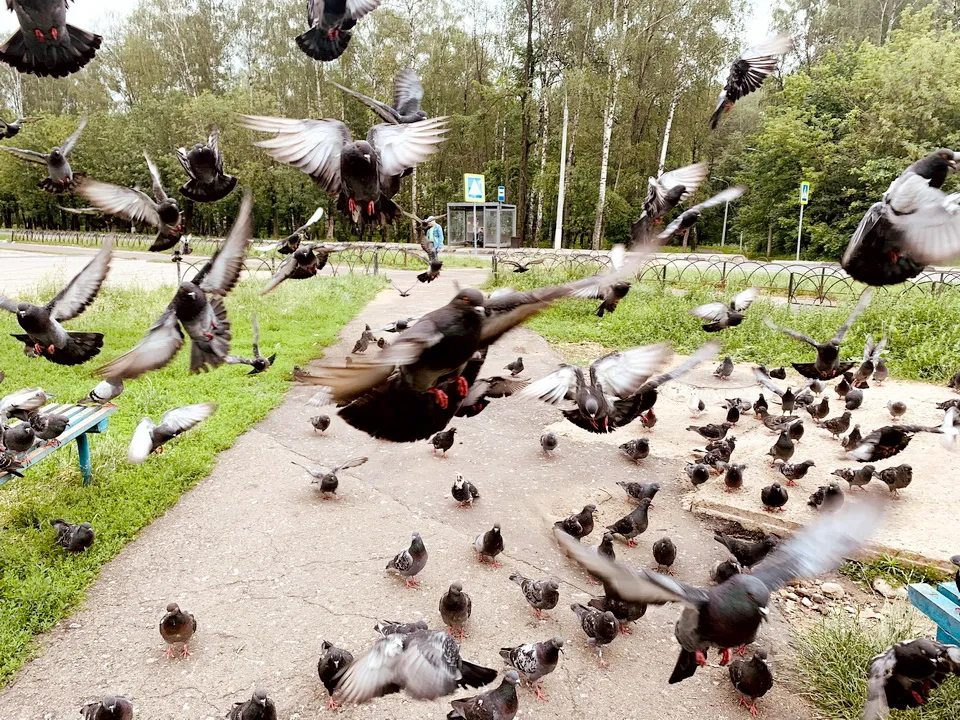 Фото: Мария Калашникова