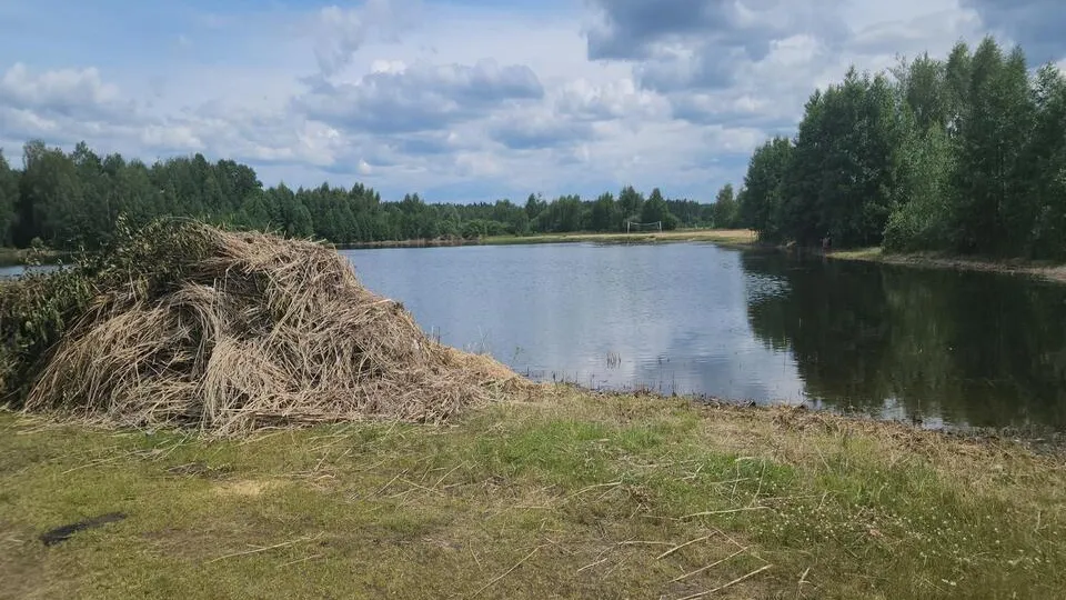 Фото: Ольга Сычева