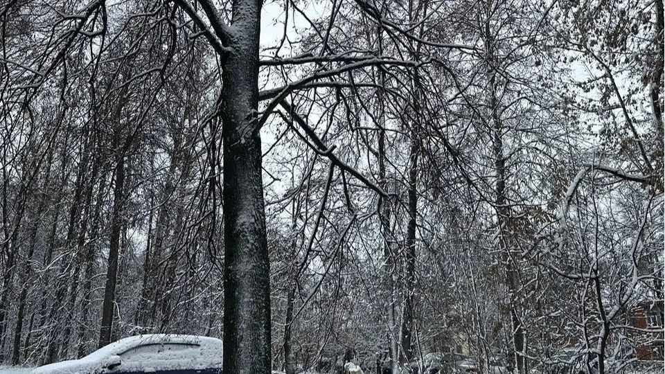 Фото: Александра Серова