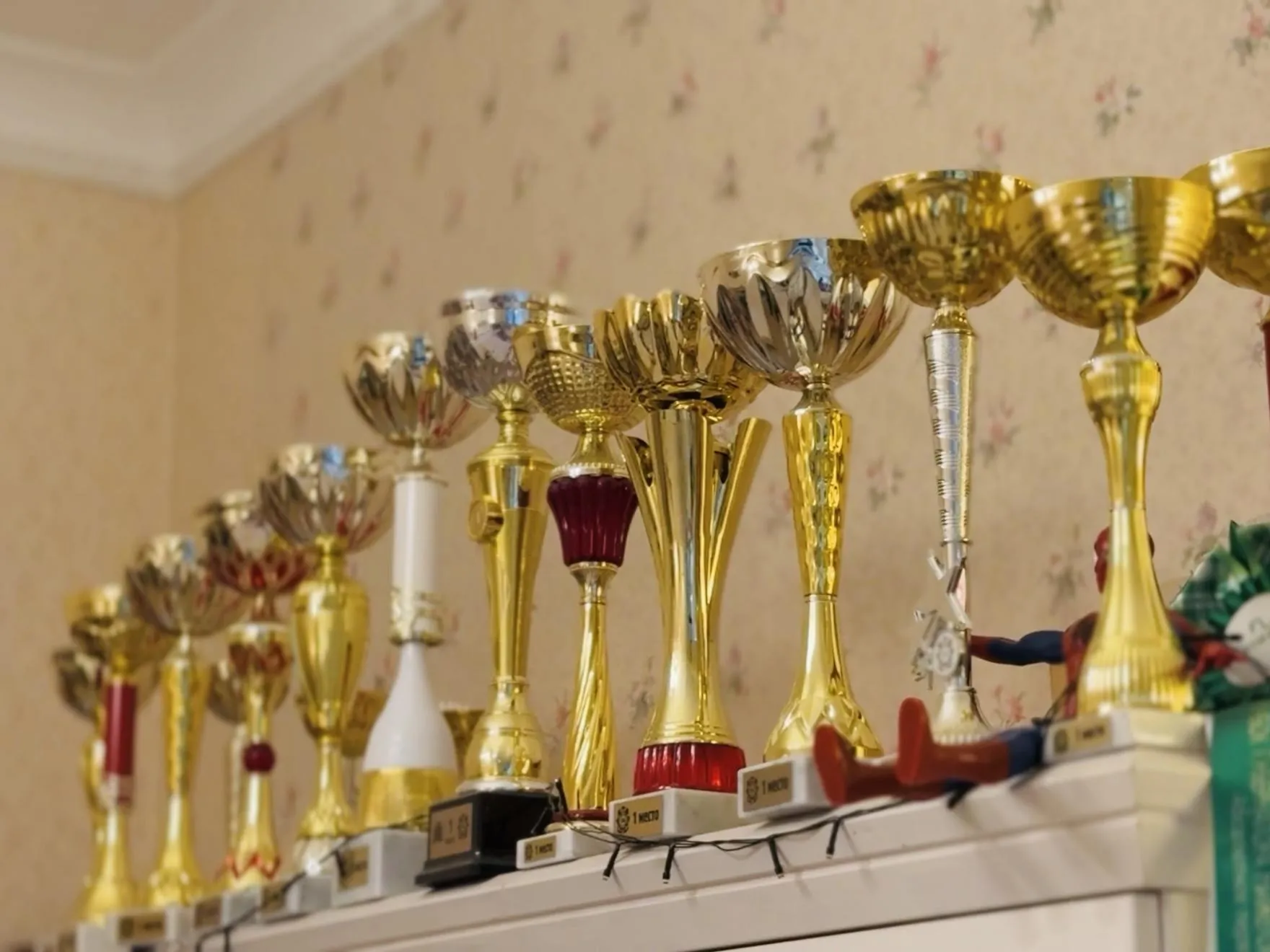 Фото: Ольга Стаферова