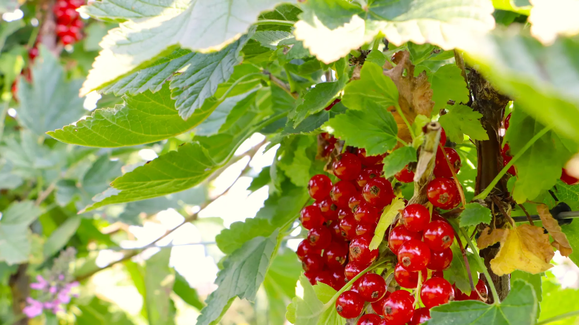 Фото: Медиабанк Подмосковья/Ирина Матвеева