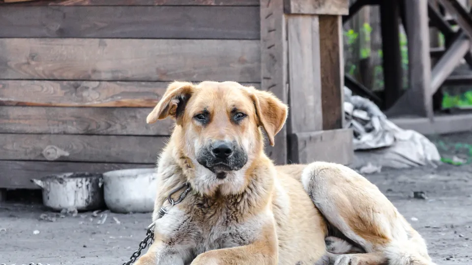 Фото: istockphoto.com