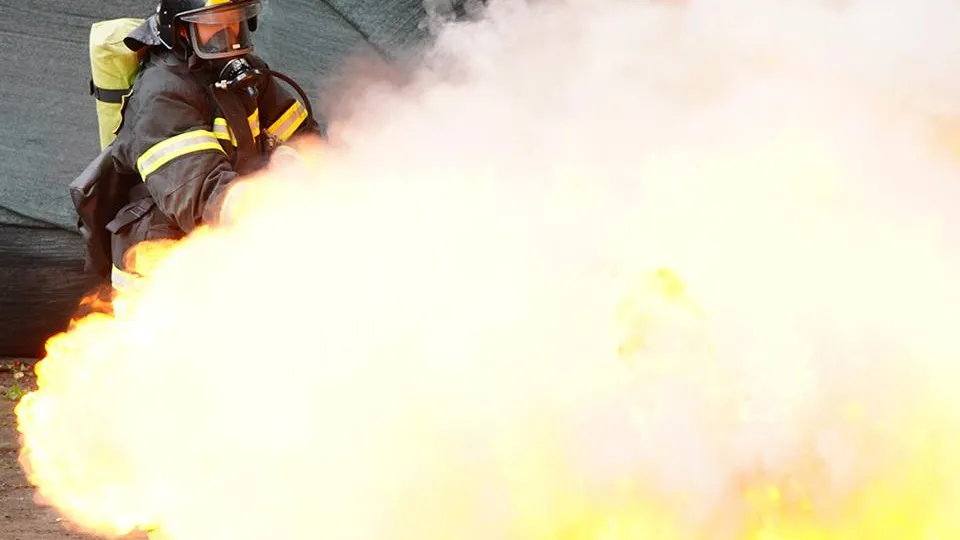 Фото: REGIONS/Анна Быкова