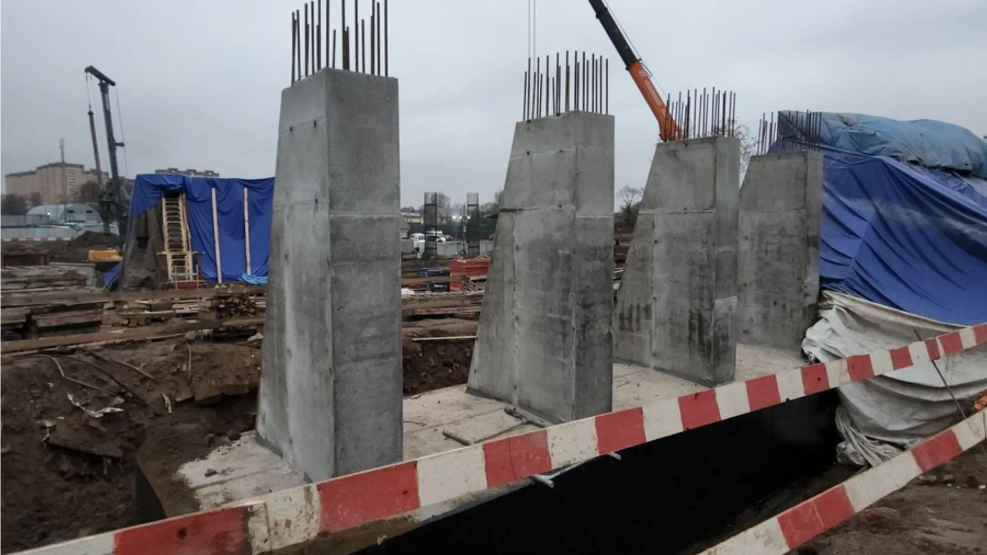 Фото: МедиаБанк Подмосковья/Валерия Исаева