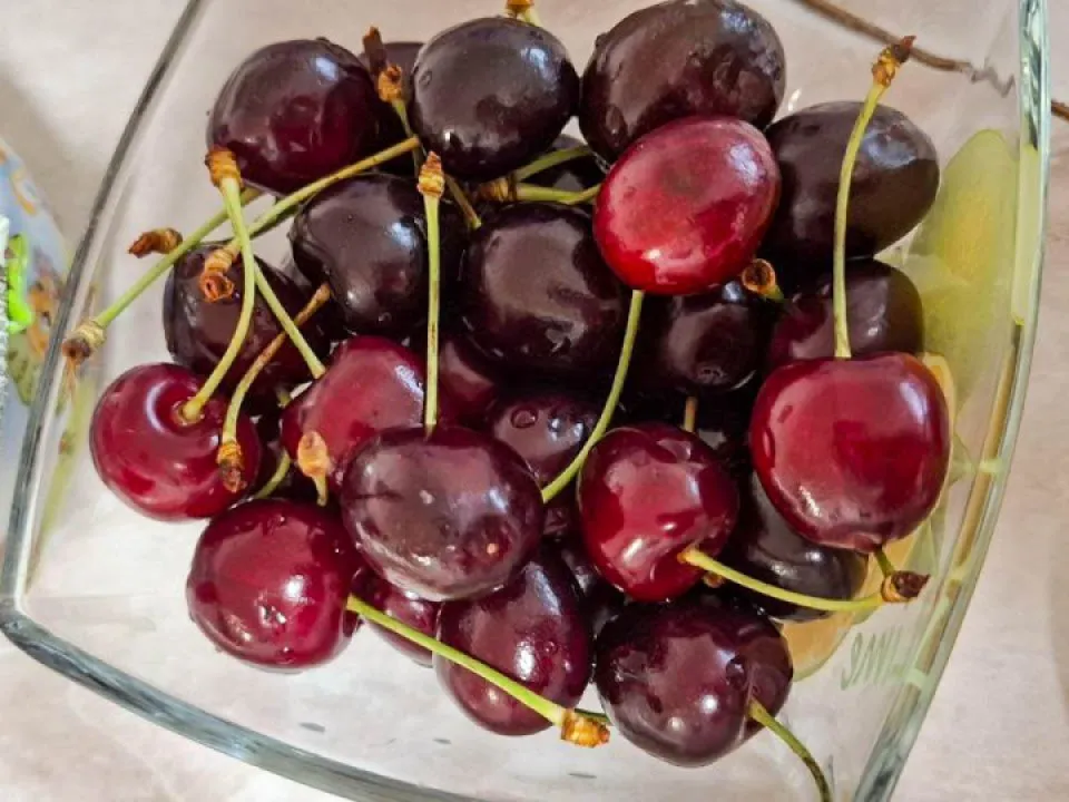 Фото: REGIONS/Юлия Габбасова