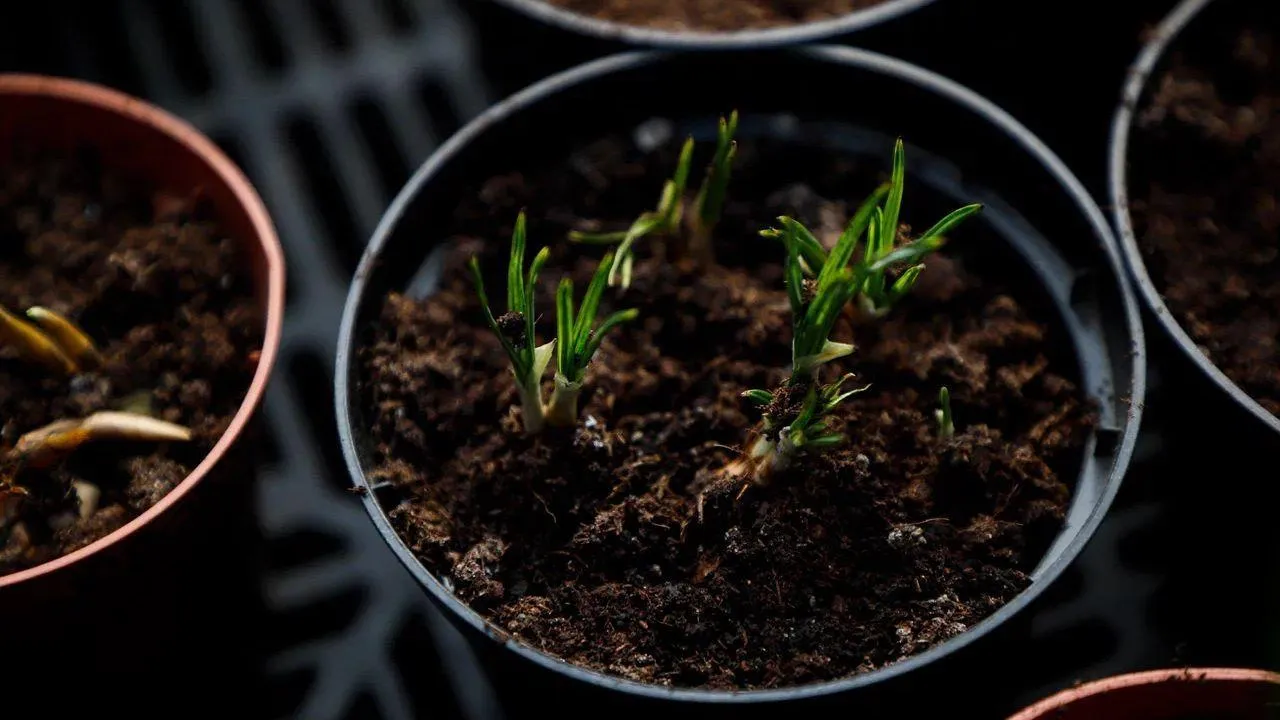 REGIONS/Наталья Надточая