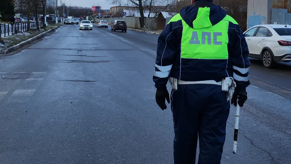 Фото: МедиаБанк Подмосковья/Нина Басистая