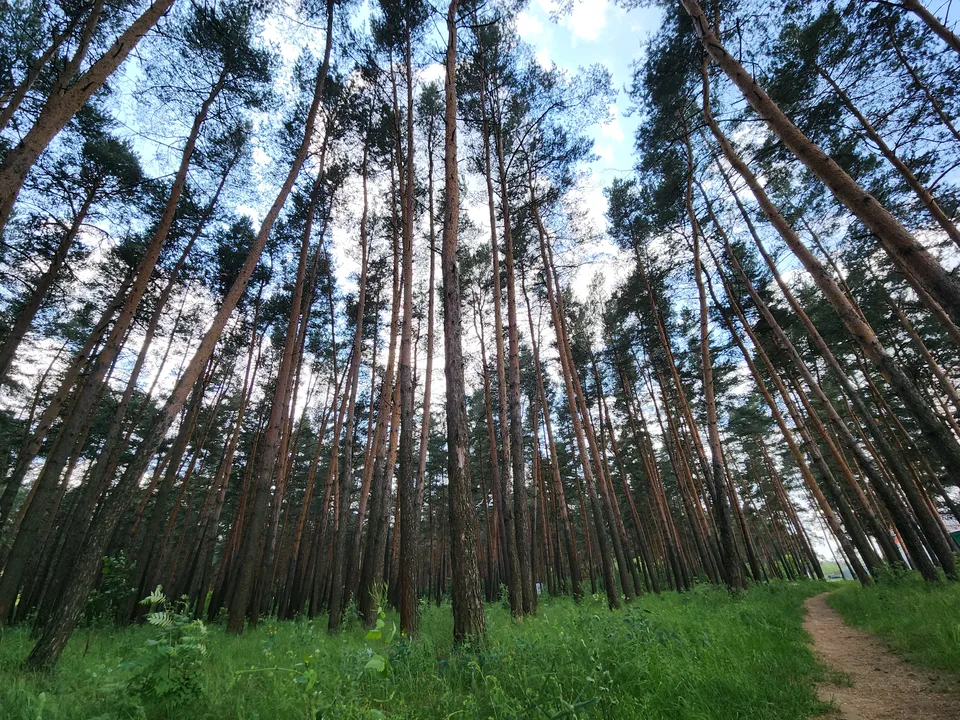 Фото: МедиаБанк Подмосковья/Валерия Тингаева