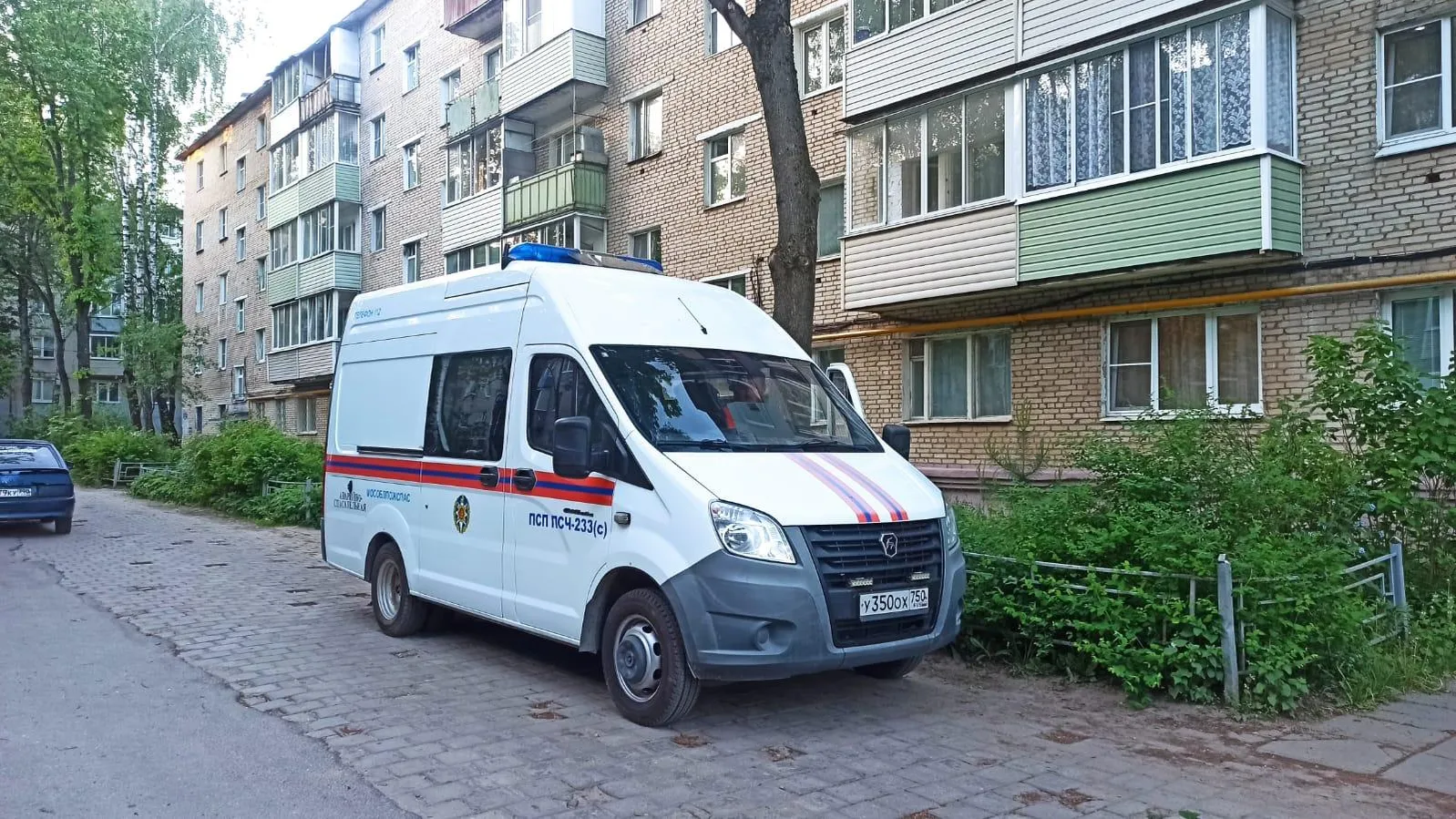 Фото: ГКУ МО «Мособлпожспас»