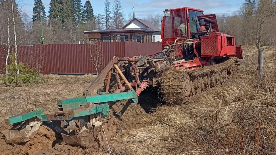 Фото: Комитет лесного хозяйства Московской области