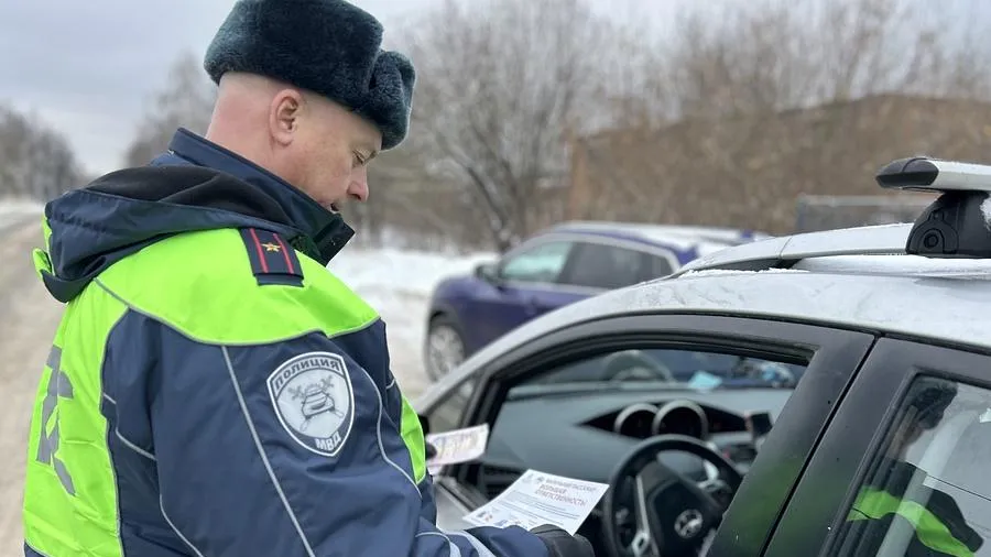 Источник: Одинцовская Госавтоинспекция