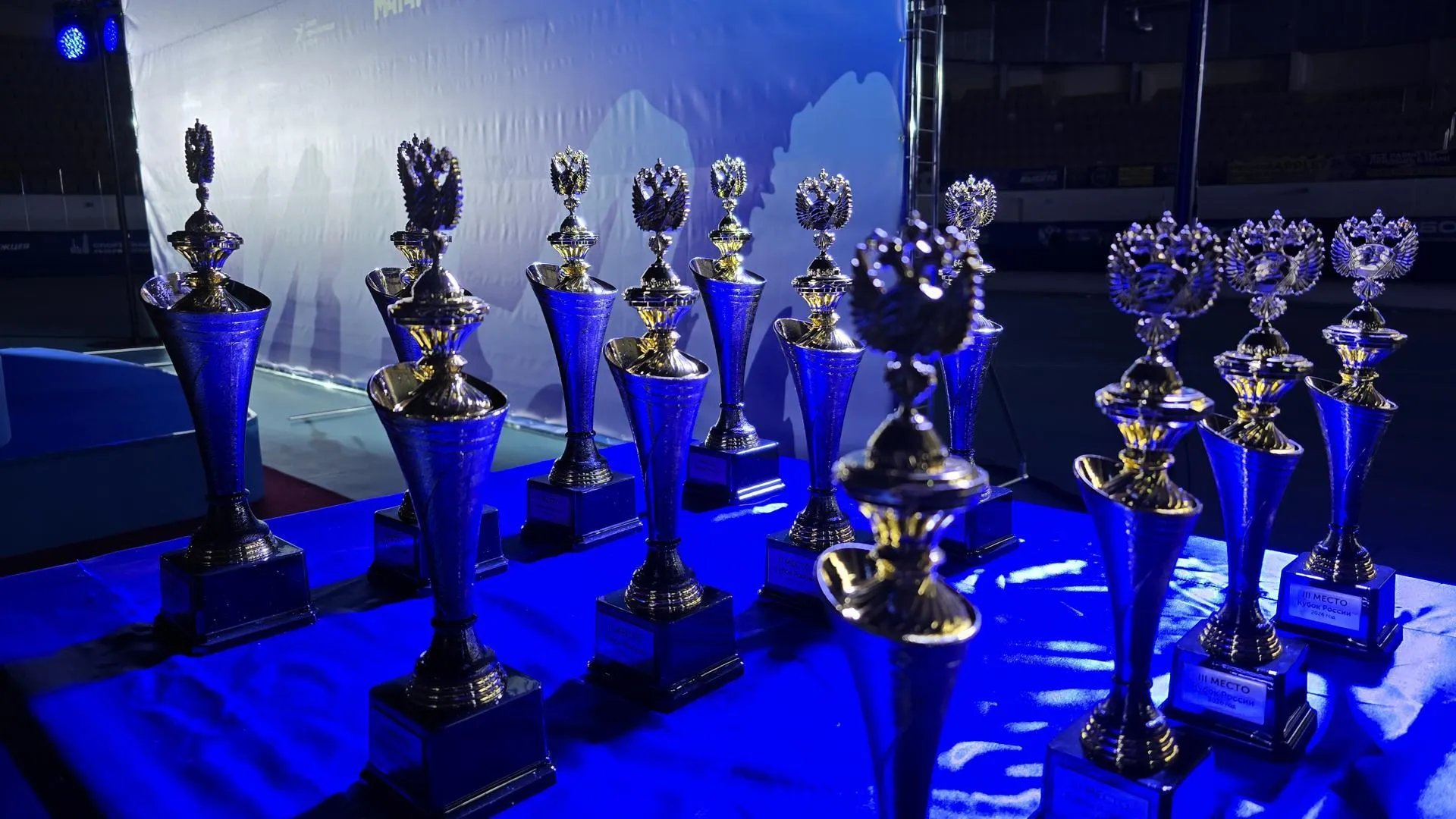 МедиаБанк Подмосковья/Марина Анисимова