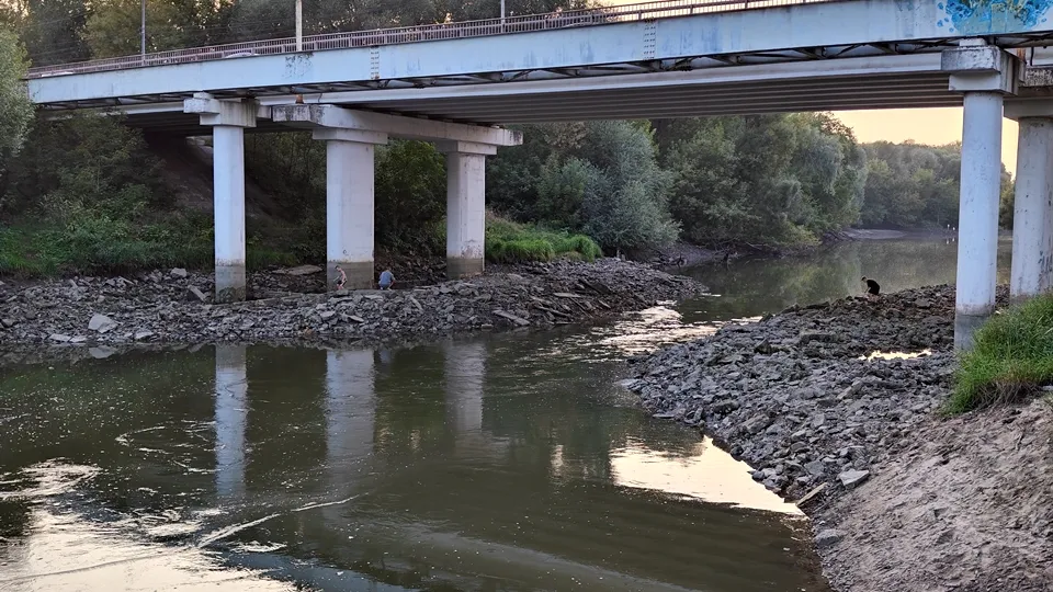 Фото: REGIONS/Алексей Селиверстов