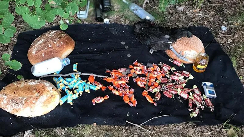 Ритуальную площадку с убитой курицей и хлебом обнаружили жители Балашихи