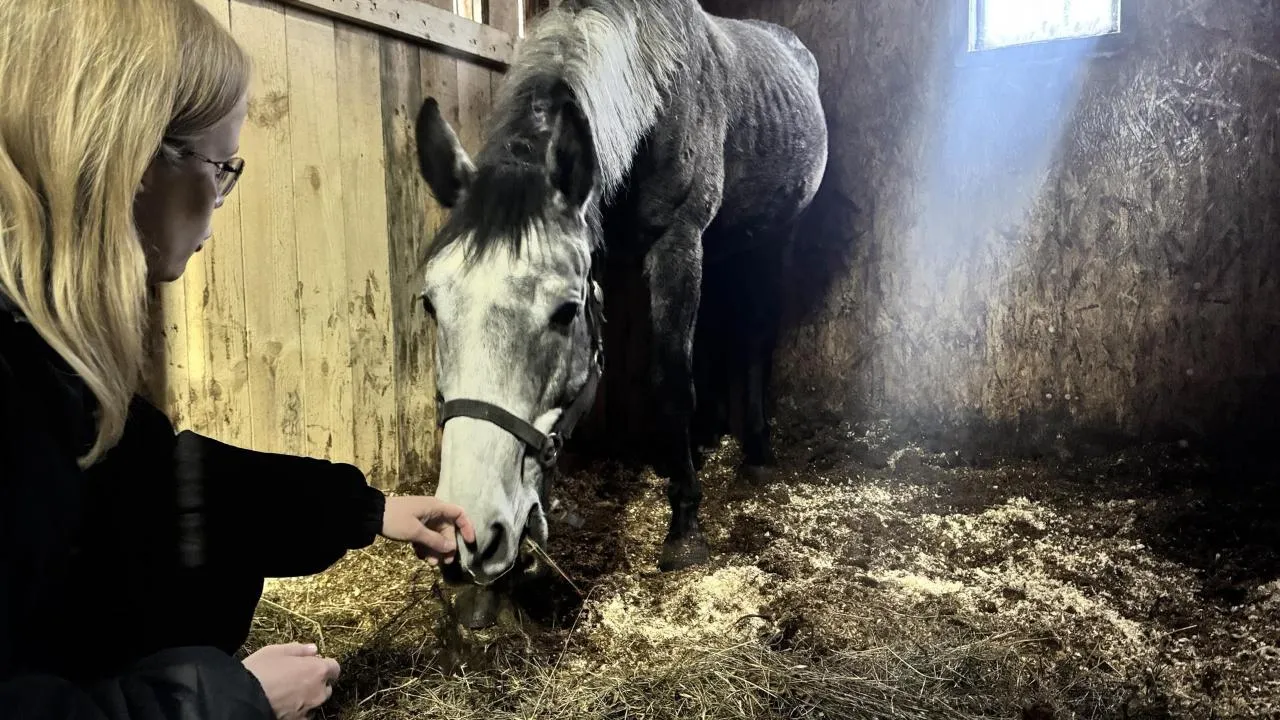 REGIONS/Татьяна Рунова