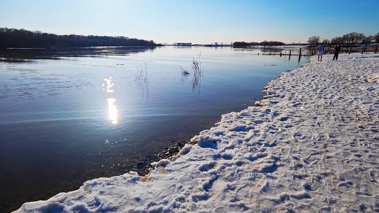 REGIONS/Алексей Селиверстов