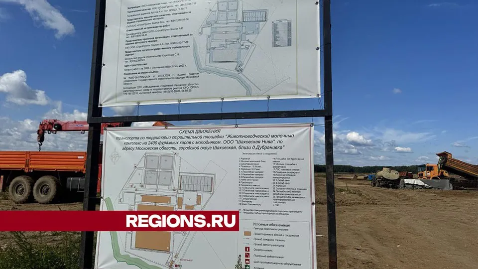 Фото: Татьяна Рунова