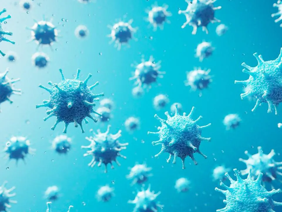 «У штамма Пирола много мутаций»: выяснилось, насколько вероятна новая пандемия коронавируса