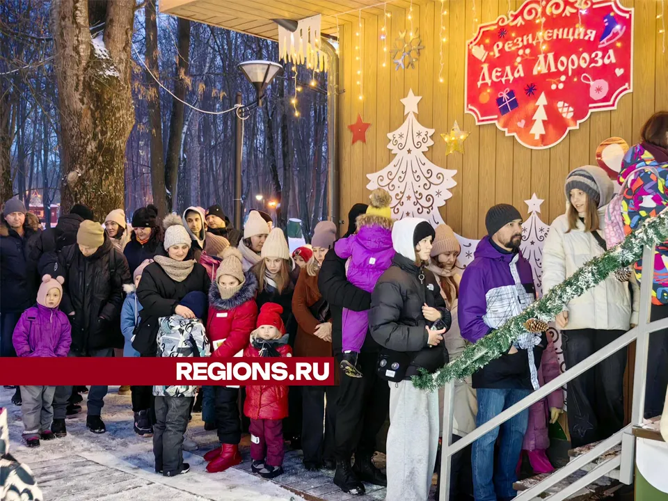 Фото: REGIONS/Елена Катасонова