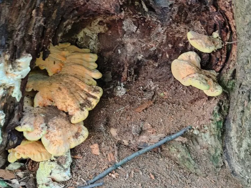 Фото: Иван Федулов