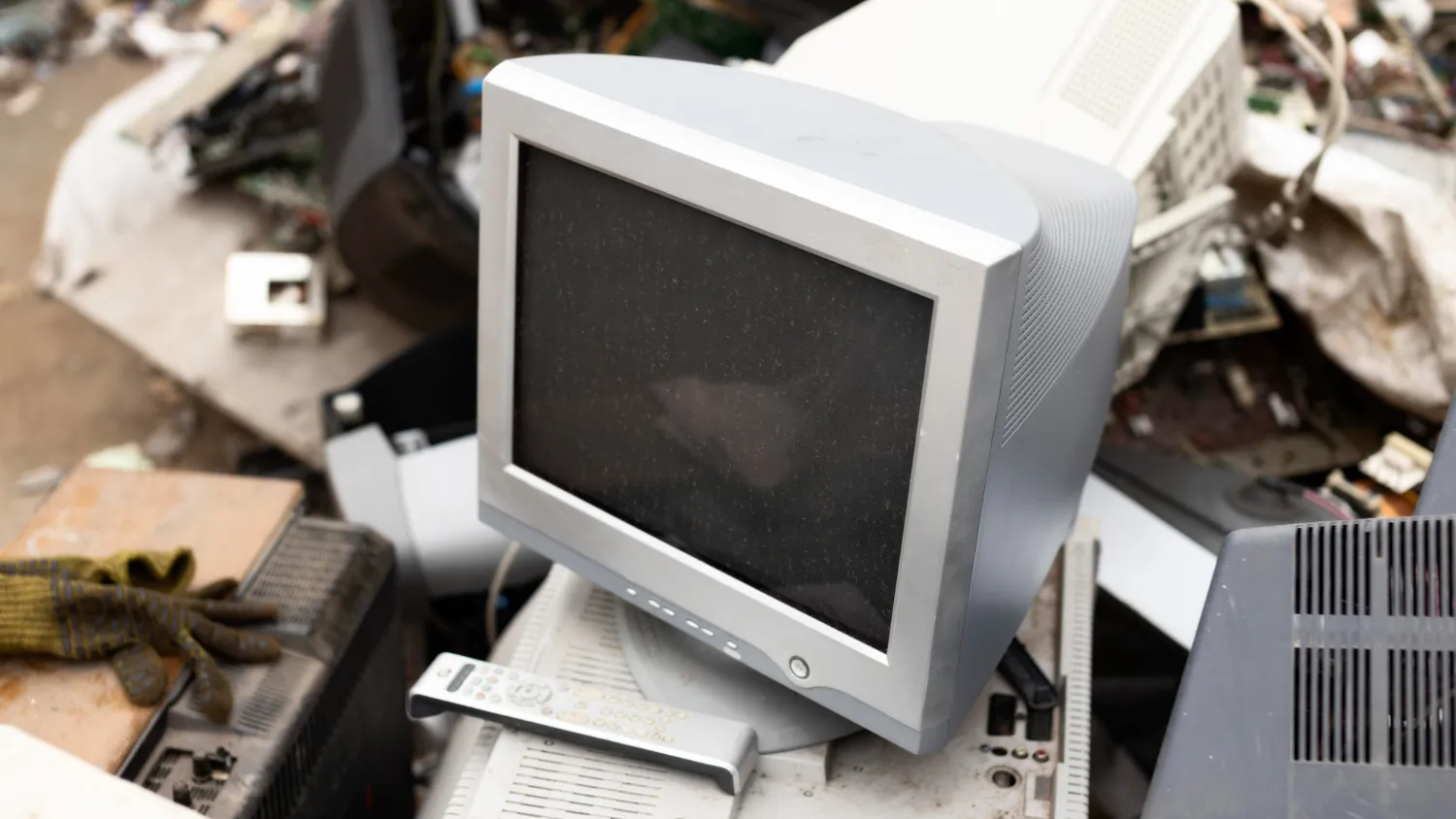 Фото: freepik.com