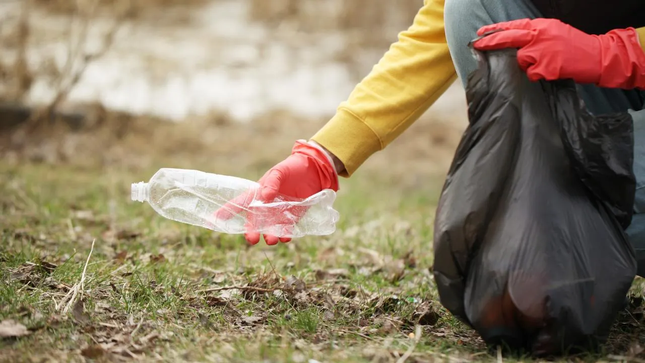istockphoto.com/Andrii Zastrozhnov