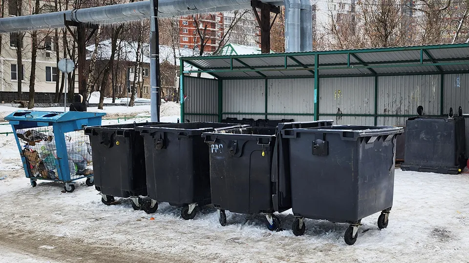 Фото: МедиаБанк Подмосковья/Никита Сморкалов