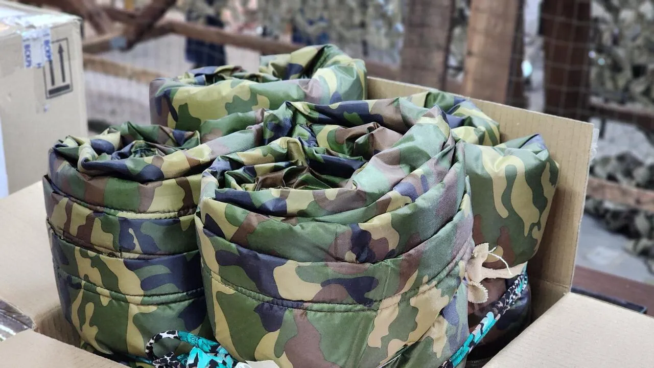 REGIONS/Валерия Тингаева