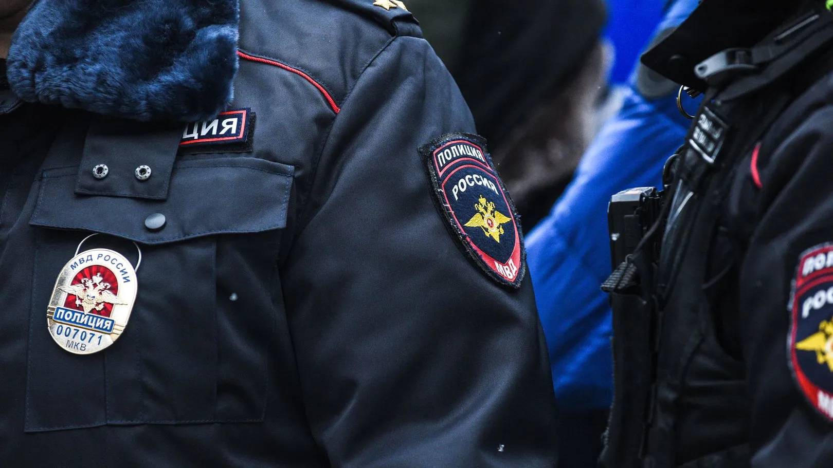 Фото: Медиаархив Подмосковья