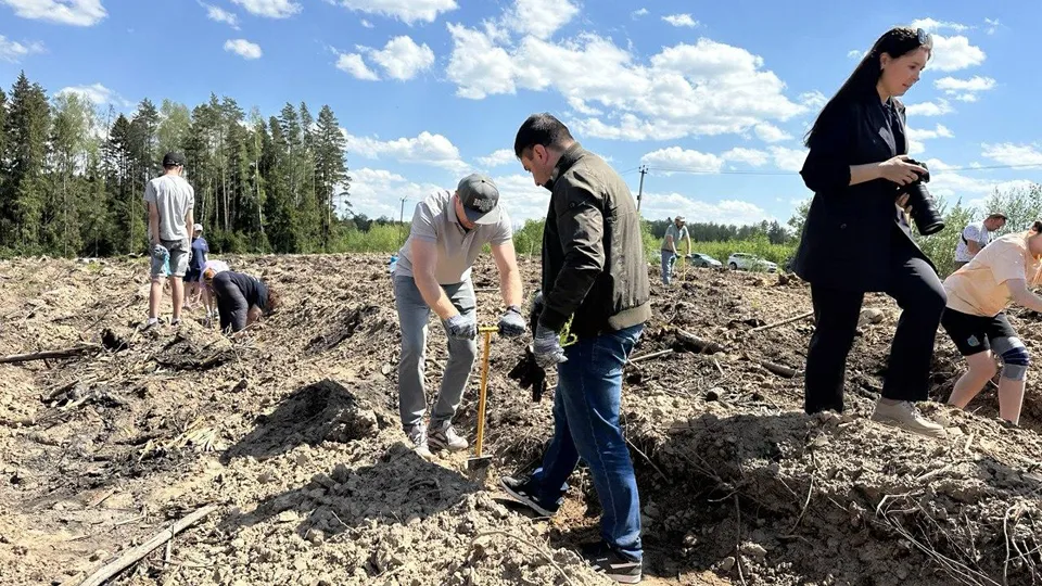 Фото: Комитет лесного хозяйства Московской области