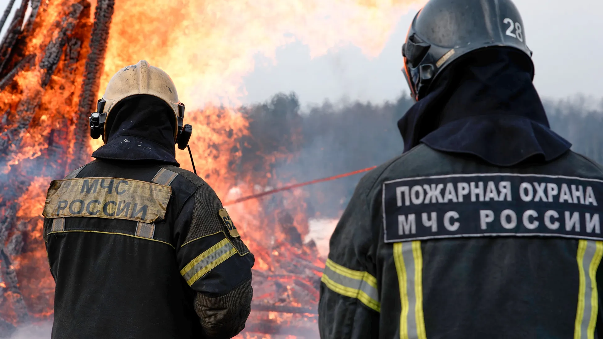 Фото: медиасток.рф