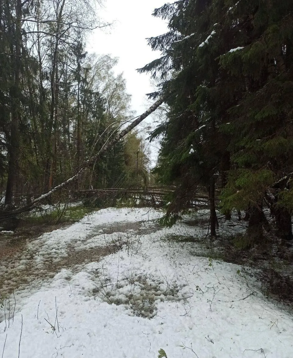 глава Талдомского городского округа Юрий Крупенин