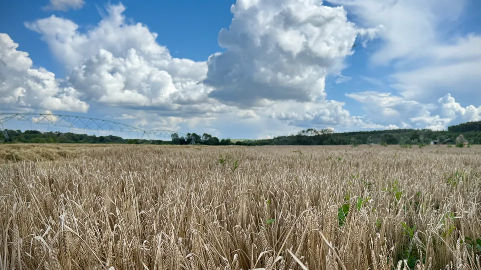 Фото: Министерство сельского хозяйства и продовольствия Московской области
