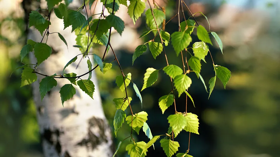 Фото: istockphoto.com