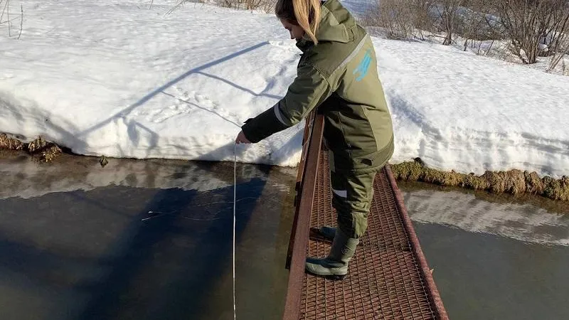 Фото: Министерство экологии и природопользования Московской области