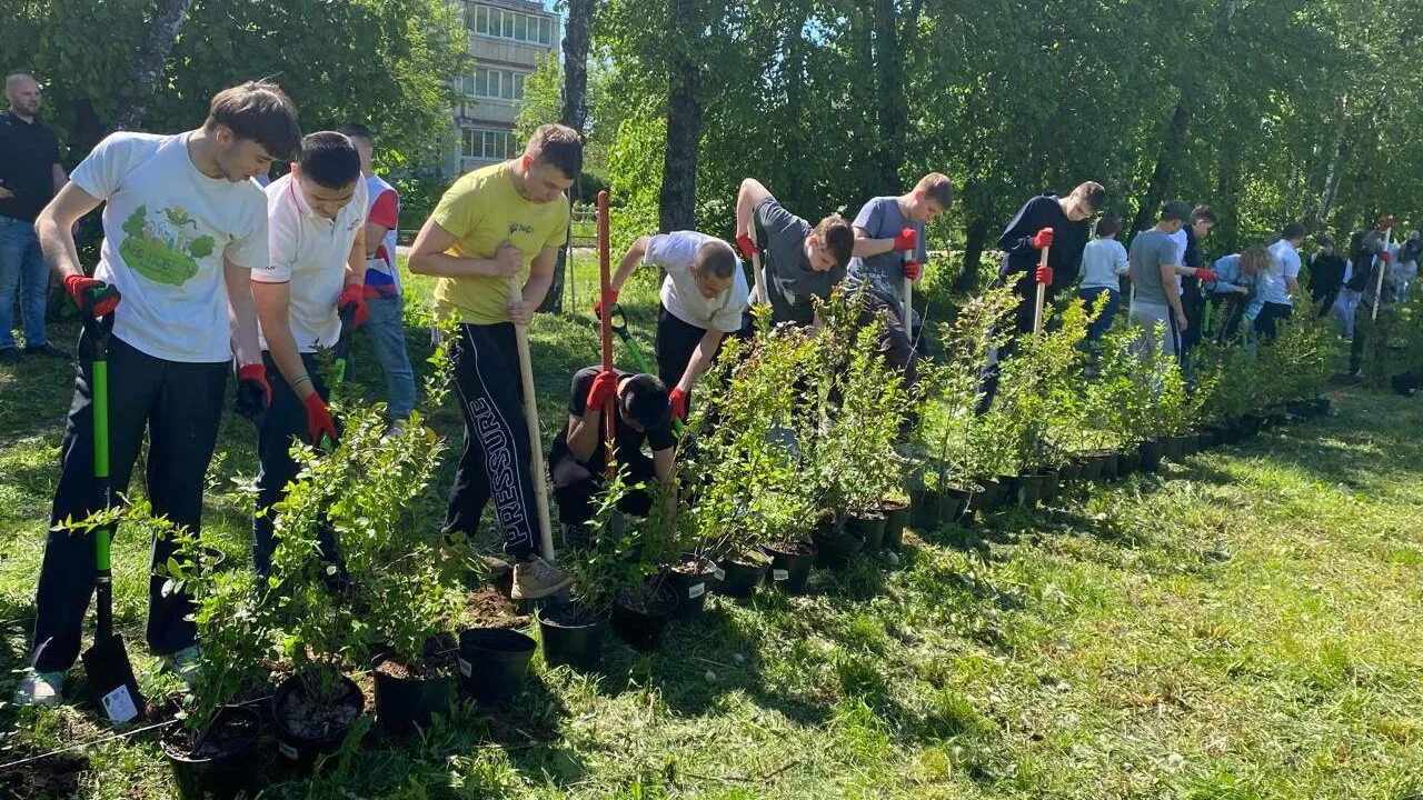 Фото: Комитет лесного хозяйства МО