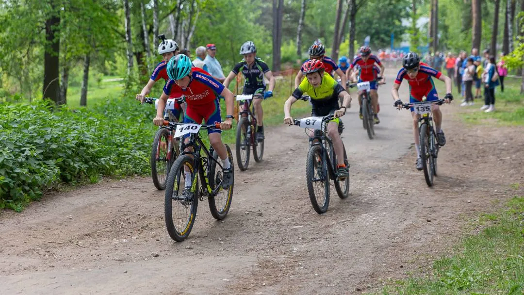 Фото: телевидение "Аист"