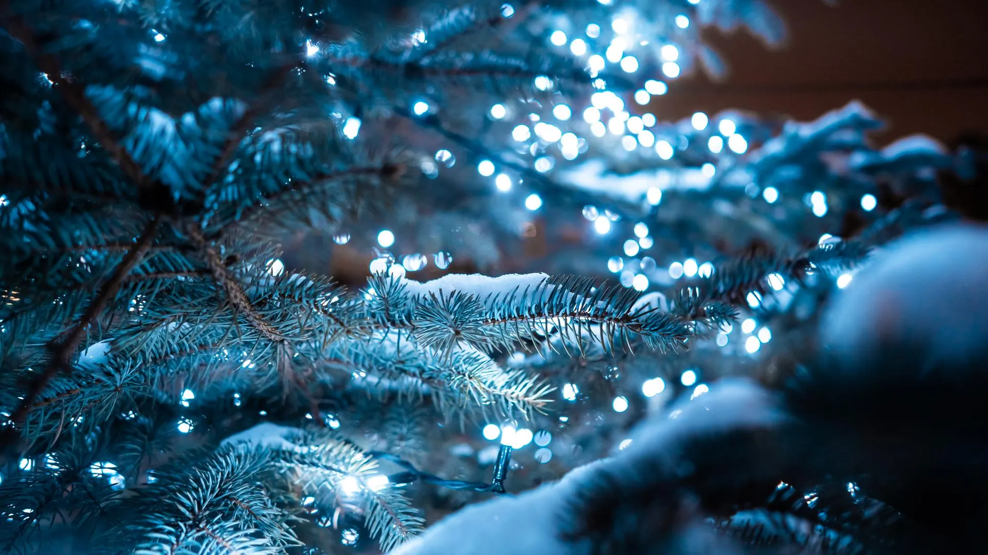 Изображение от teksomolika на Freepik