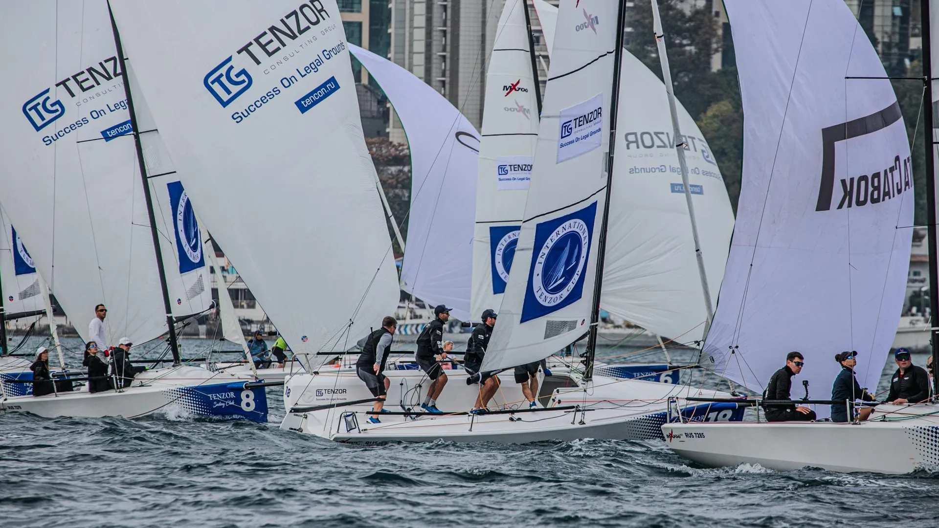 Международный парусный турнир Tenzor International Cup пройдет в Московской области