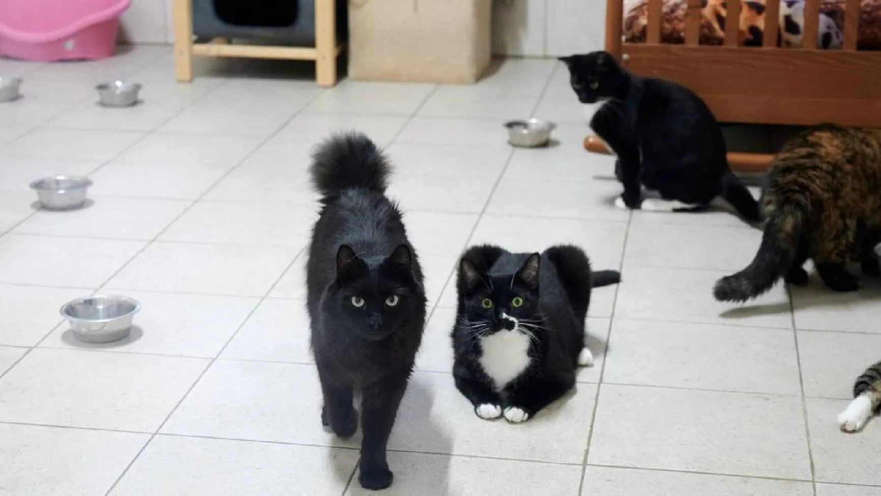 Фото: Минсельхозпрод МО