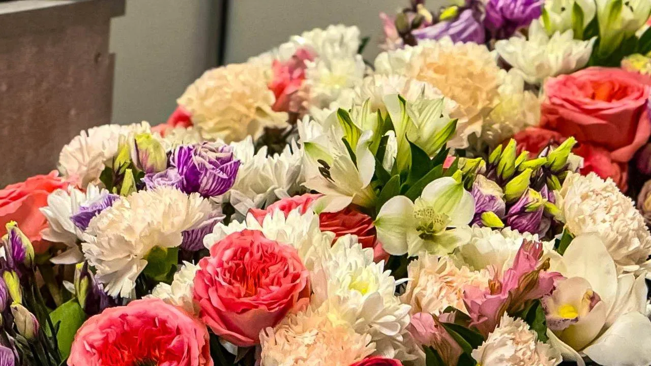 REGIONS/Дарина Левкина