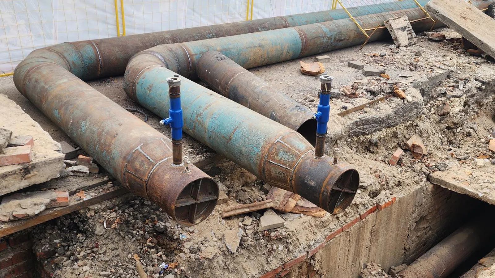 Фото: Андрей Семибратов