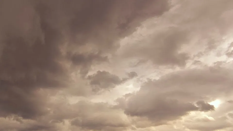 Фото: REGIONS/Ольга Никитина