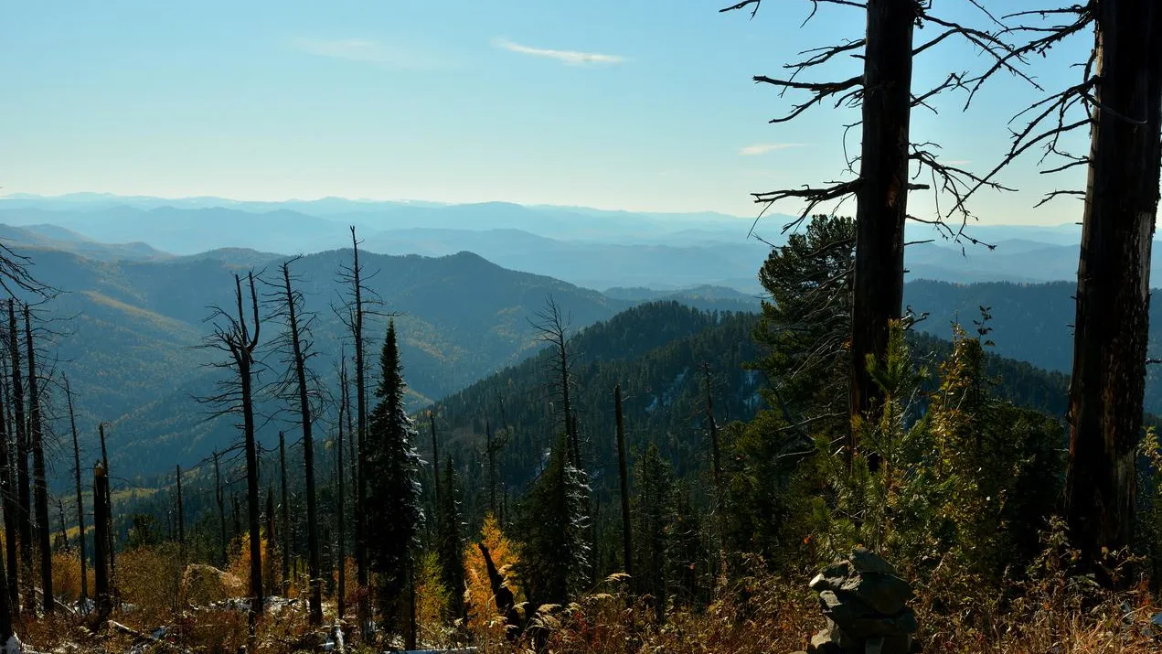 «Они не забыты». Повторные поиски семьи Усольцевых начнутся на этой неделе