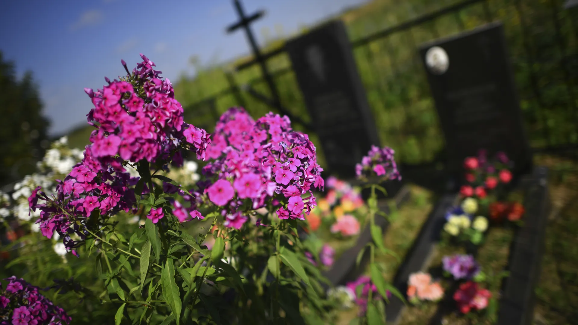 Кладбище в деревне Поповка Троицкого административного округа