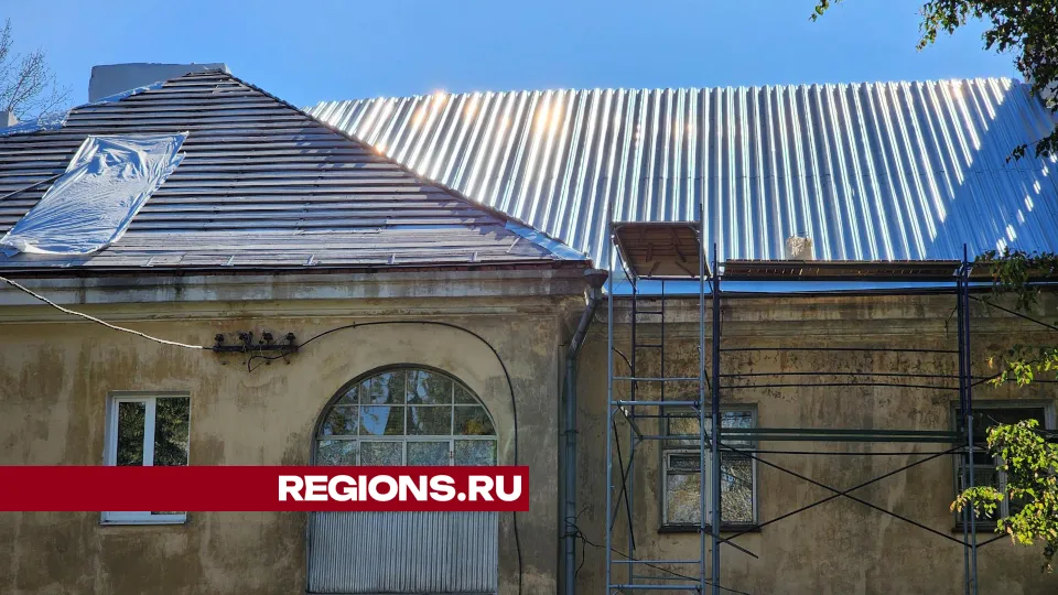 Фото: Дмитрий Алексеенко