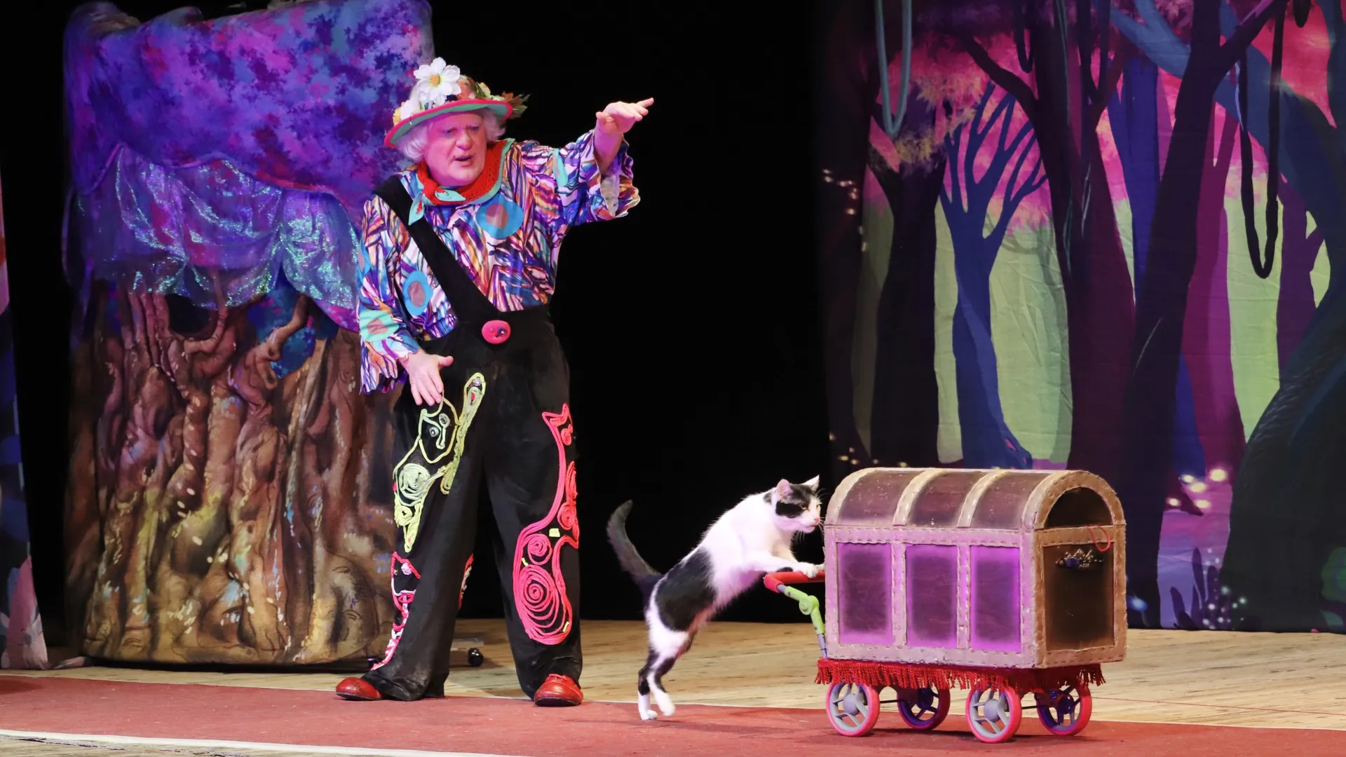 Фото: МедиаБанк Подмосковья/Мария Варшавер