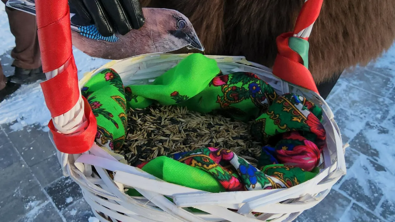 МедиаБанк Подмосковья/Максим Сафронов