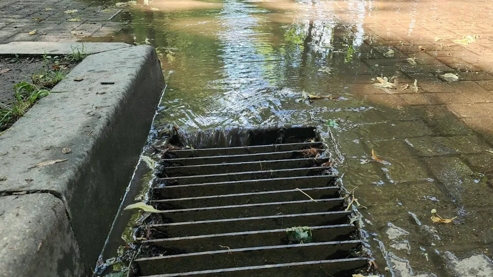 Фото: МедиаБанк Подмосковья/Мария Панина